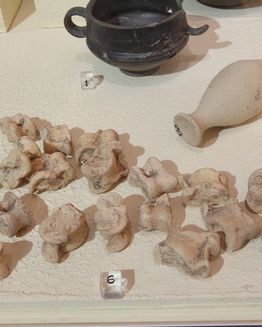 Museo Nazionale Archeologico di Gioia del Colle