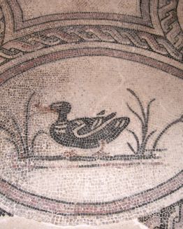 Spello's Villa of Mosaics
