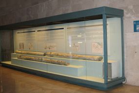 Caesaraugusta Forum Museum