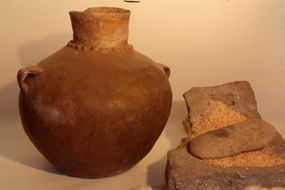Ligurian Archeology Museum