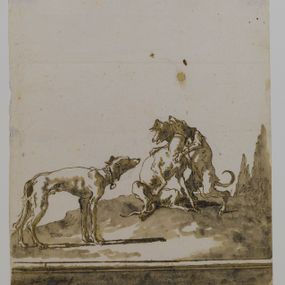 [object Object] - Dogs playing