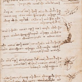 Leonardo da Vinci - Codice sul volo degli uccelli