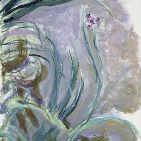 Claude Monet - Iris