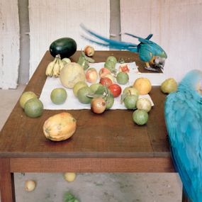 [object Object] - Still Life with Parrots