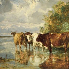 [object Object] - Cows at the watering hole