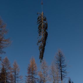 Matteo de Mayda  - un elicottero rimuove un albero caduto