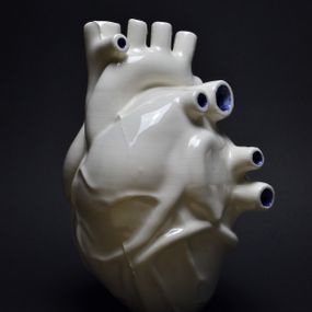[object Object] - sistema circulatorio, detalle