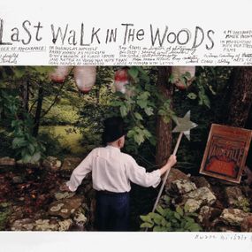 Duane Michals - A Last Walk in the Woods