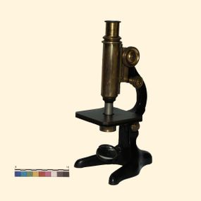 null - Microscopio monoculare