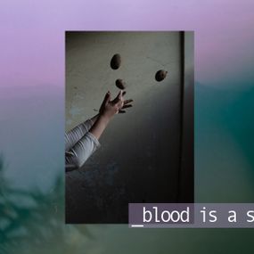 [object Object] - Il sangue è un seme