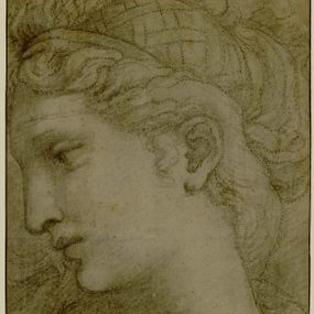 [object Object] - Head of a Woman in the Wedding Feast of Cupid and Psyche