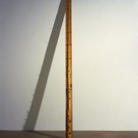 [object Object] - 5 meter mast