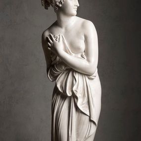 [object Object] - Venus Italica