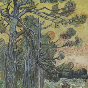 Vincent Van Gogh - Pini al tramonto
