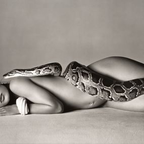 [object Object] - Nastassja Kinski with the serpent