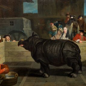 [object Object] - Il Rinoceronte (Clara in recinto, con carro)