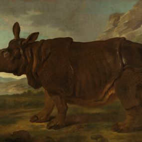 [object Object] - Rinoceronte