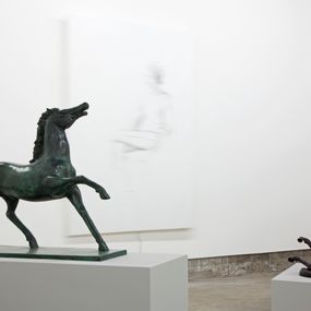 Renato Leotta - Museo: cavalli e cavalle, cavalli cavalli