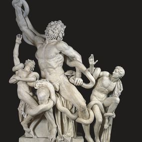 null - Copy of the Laocoon