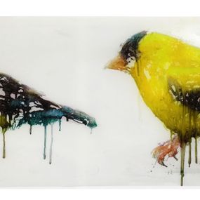 [object Object] - Yellow Finch