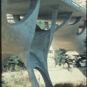 [object Object] - Ponte sul fiume Basento