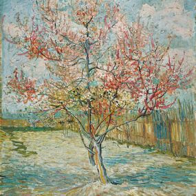 Vincent Van Gogh - Pink peach trees 