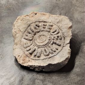 [object Object] - Anomalous Fossil Nº1