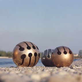 [object Object] - Rotanti sulle rive del Ticino