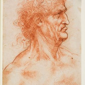 Leonardo da Vinci - Testa virile di profilo incoronata d'alloro
