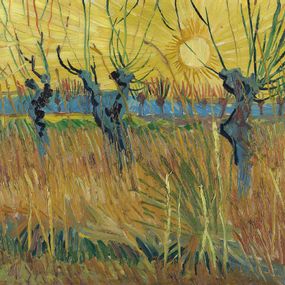 Vincent Van Gogh - Salici al tramonto