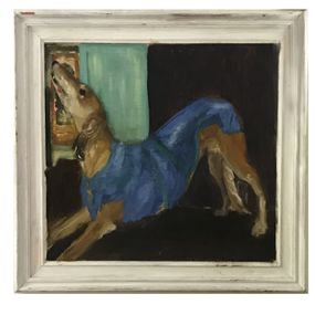 null - SECTION 8 - 2 - Dog with blue coat