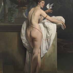 [object Object] - Venus joking with two doves