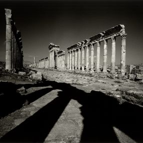 [object Object] - Il viale, Apamea, Syria