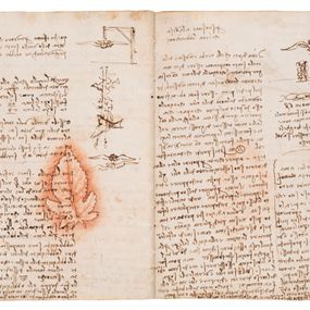Leonardo da Vinci - Codice degli uccelli
