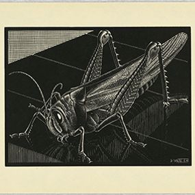 [object Object] - Grasshopper