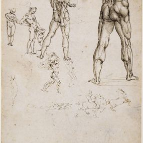 Leonardo da Vinci - Nudi per la battaglia di Anghiari