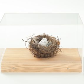 [object Object] - livre de nid