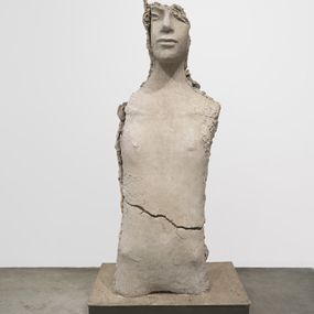 [object Object] - Unfired clay torso