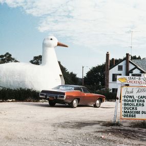 null - «The Big Duck», shop in the shape of a duck on the highway on Long Island