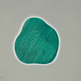 [object Object] - Untitled (cells)