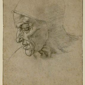 Michelangelo Buonarotti - Testa maschile