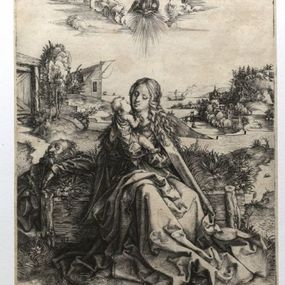 Albrecht Dürer - La Sacra Famiglia con libellula