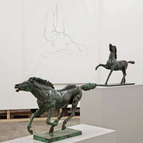 Renato Leotta - Museo (Cavalli e Cavalle, Cavalli Cavalli)