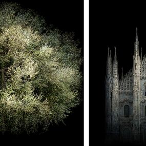 [object Object] - Cathedral and Olive Tree Fara Sabina