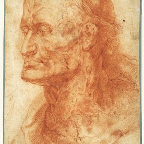 Peter Paul Rubens - Testa di vecchio