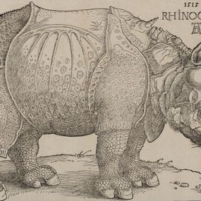 Albrecht Dürer - Rinoceronte