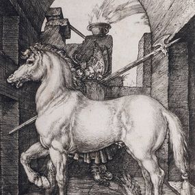 Albrecht Dürer - Piccolo Cavallo