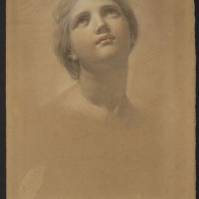 [object Object] - Head of a young woman