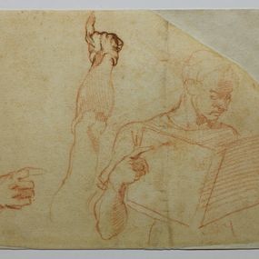 Michelangelo Buonarotti - Studi di figura per la Punizione di Aman nella Volta Sistina