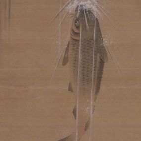 [object Object] - A carp goes up a large waterfall